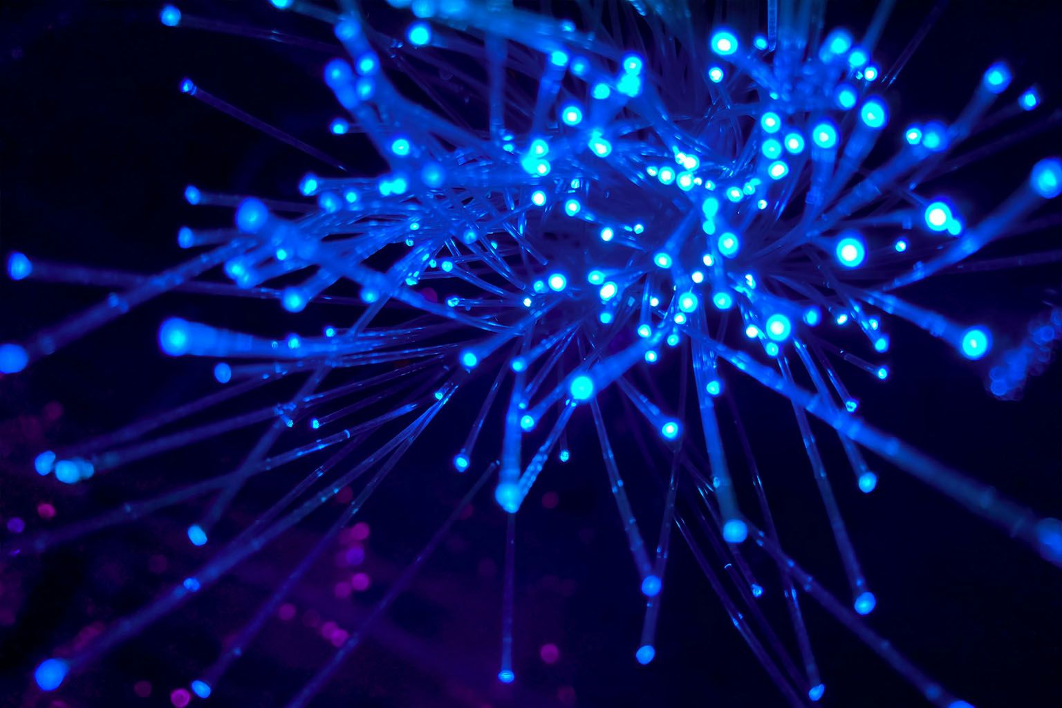 AI in Payroll: Are you Human, Cyborg or Centaur?
