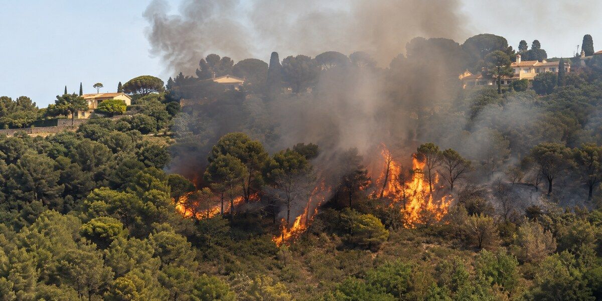 Feu de forêt en pleine journée sur une colline boisée évoquant Mougins, avec flammes, fumée, pins et villas situées en lisière