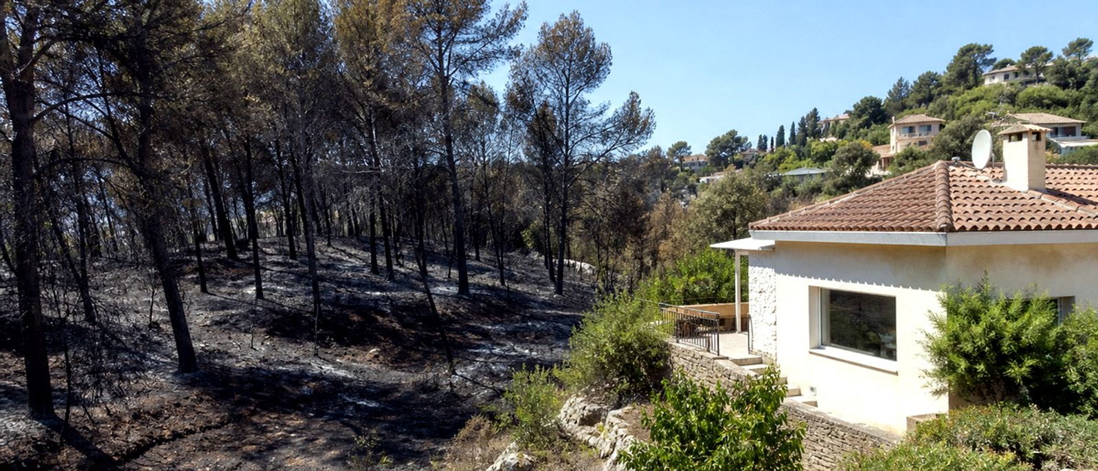 Lisière de pins brûlée à proximité d’une villa sur les hauteurs de Vallauris.