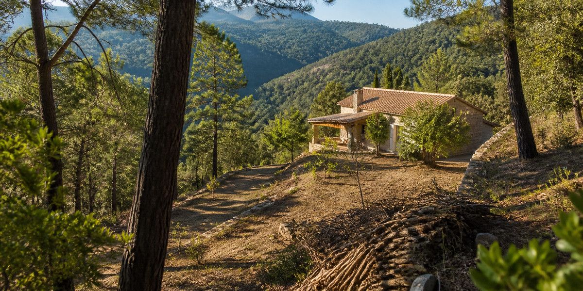 Maison en pierre entourée d’une zone boisée entretenue et débroussaillée