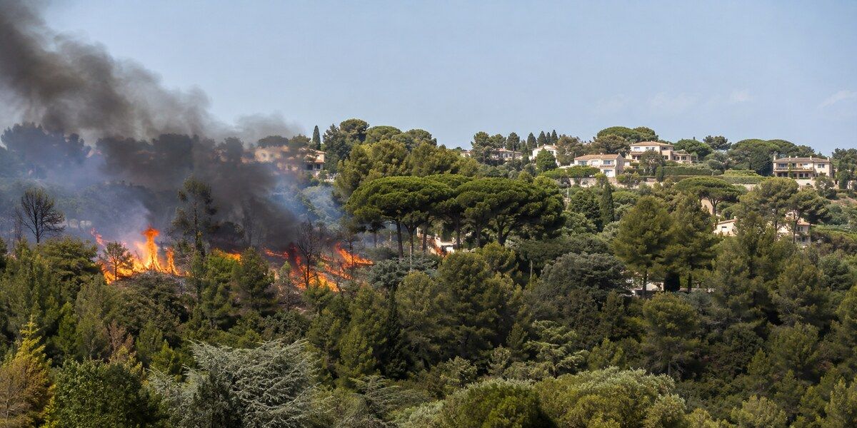 Front de feu dans un bois méditerranéen de pins et de chênes, à proximité de villas implantées sur une colline évoquant Antibes