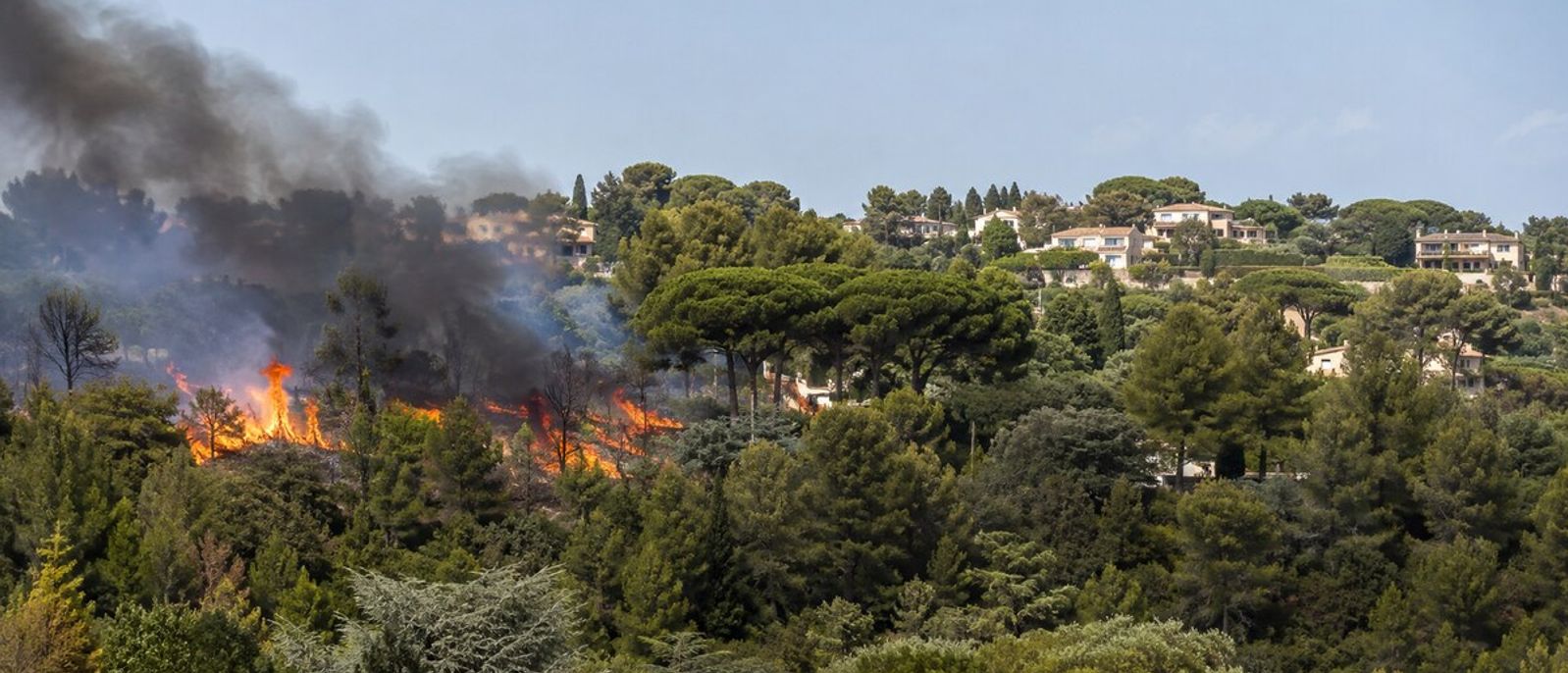 Front de feu dans un bois méditerranéen de pins et de chênes, à proximité de villas implantées sur une colline évoquant Antibes