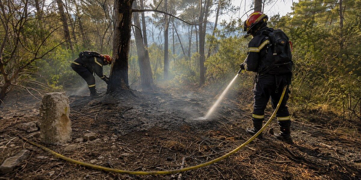 Pompiers traitant les derniers points chauds dans un sous-bois méditerranéen incendié à Villeneuve-Loubet