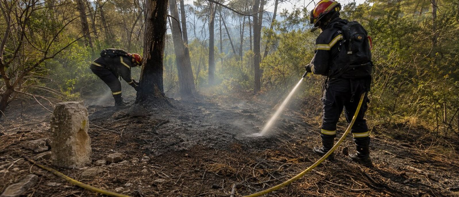 Pompiers traitant les derniers points chauds dans un sous-bois méditerranéen incendié à Villeneuve-Loubet