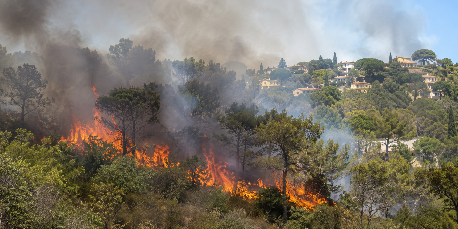 Vue depuis l’avenue de la Croix-des-Gardes à Cannes, entre végétation boisée, habitat et baie