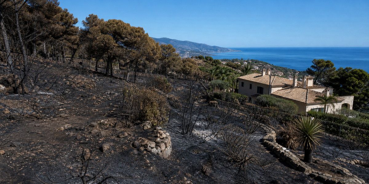 Végétation méditerranéenne brûlée à proximité d’une villa sur les hauteurs de Roquebrune-Cap-Martin.