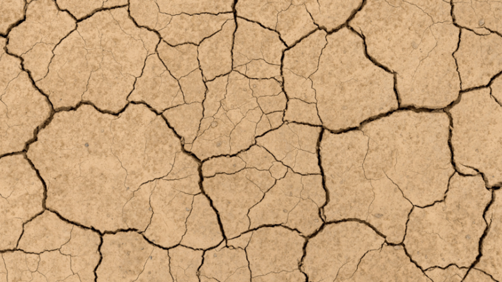 Comment savoir si la fissure sur ma maison est liée au sol argileux ?
