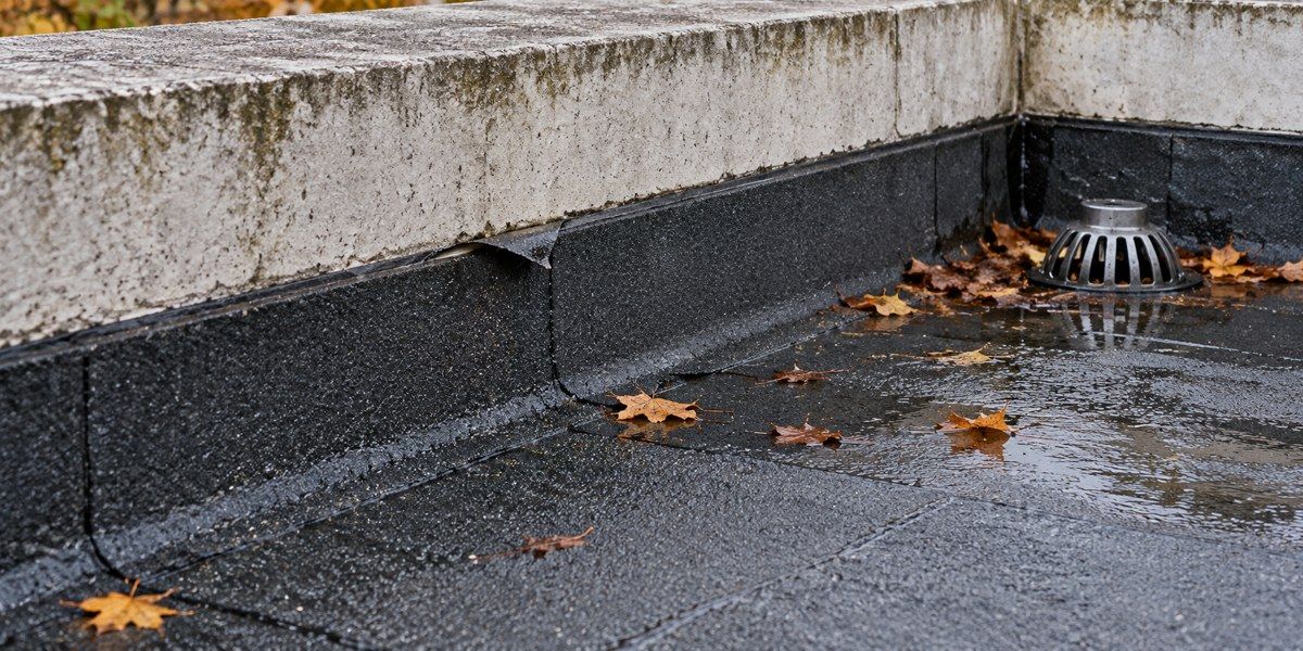 Relevé d’étanchéité partiellement décollé sur une toiture-terrasse humide, près d’une évacuation et de feuilles.