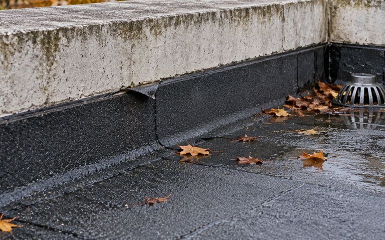 Relevé d’étanchéité partiellement décollé sur une toiture-terrasse humide, près d’une évacuation et de feuilles.