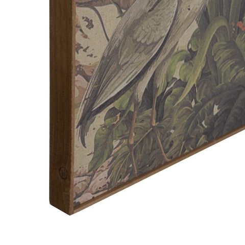 Detalle del marco de abeto y la ilustración de vegetación