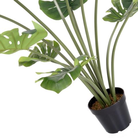 Detalle de los tallos y el macetero de la monstera