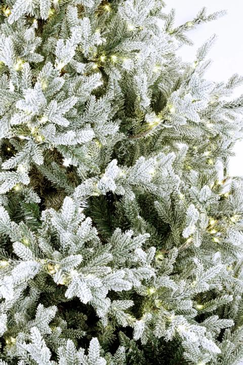 Detalle de las ramas del árbol Hopkins nevado