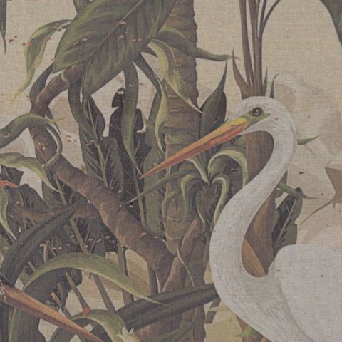 Detalle de la garza entre hojas y ramas
