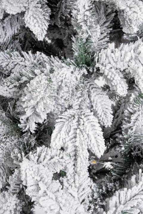 Detalle de las ramas del árbol Harvard nevado