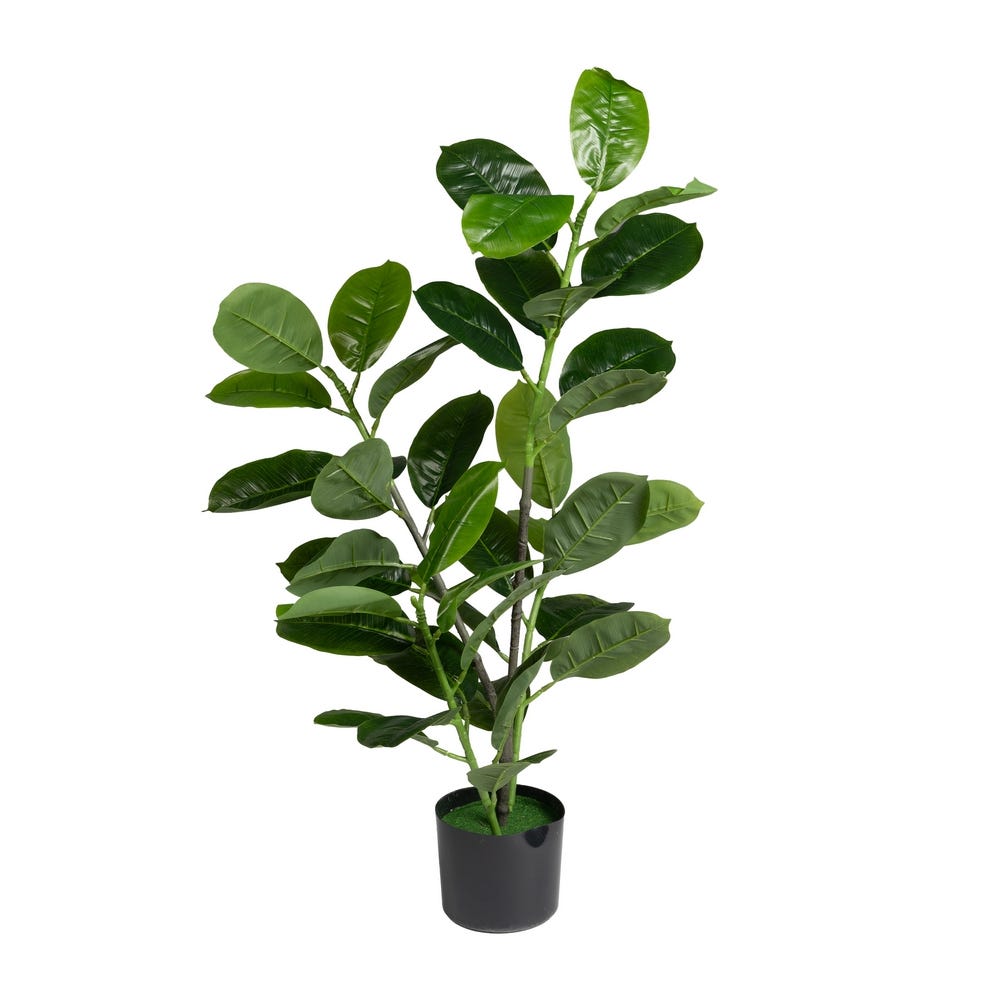 Planta de caucho artificial verde