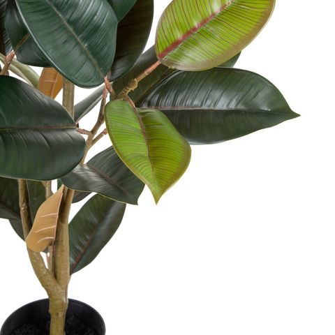 Detalle de las hojas verde oscuro del ficus artificial