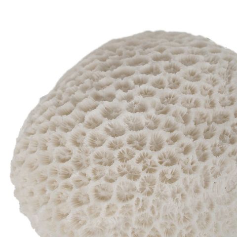 Lámpara de mesa Esponja de piedra artificial — detalle