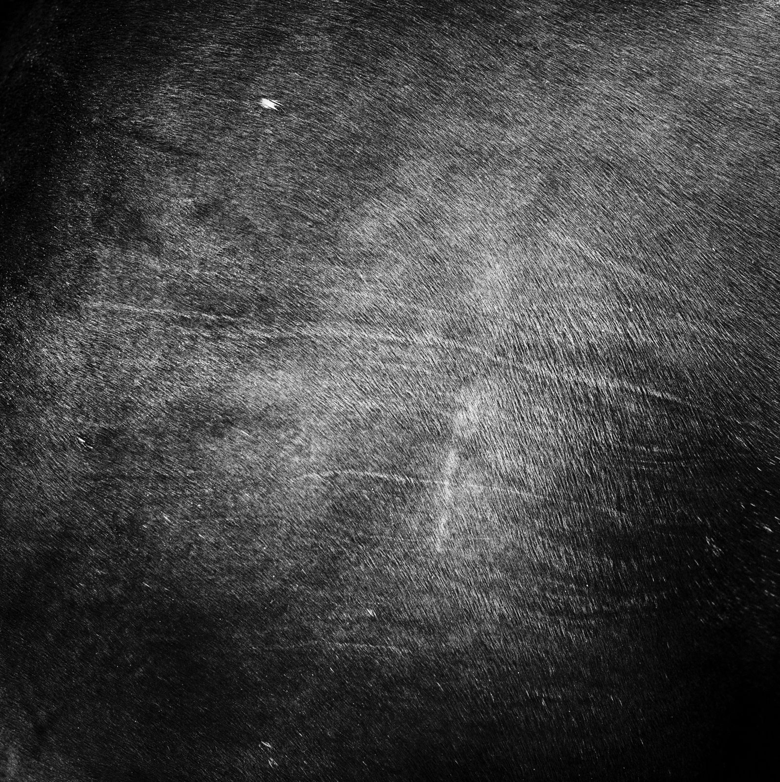 Mimi Plumb | Megalith-Still, 1995-2005