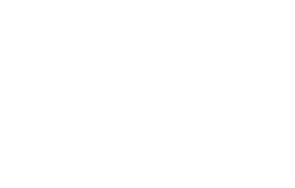 Bruxie logo