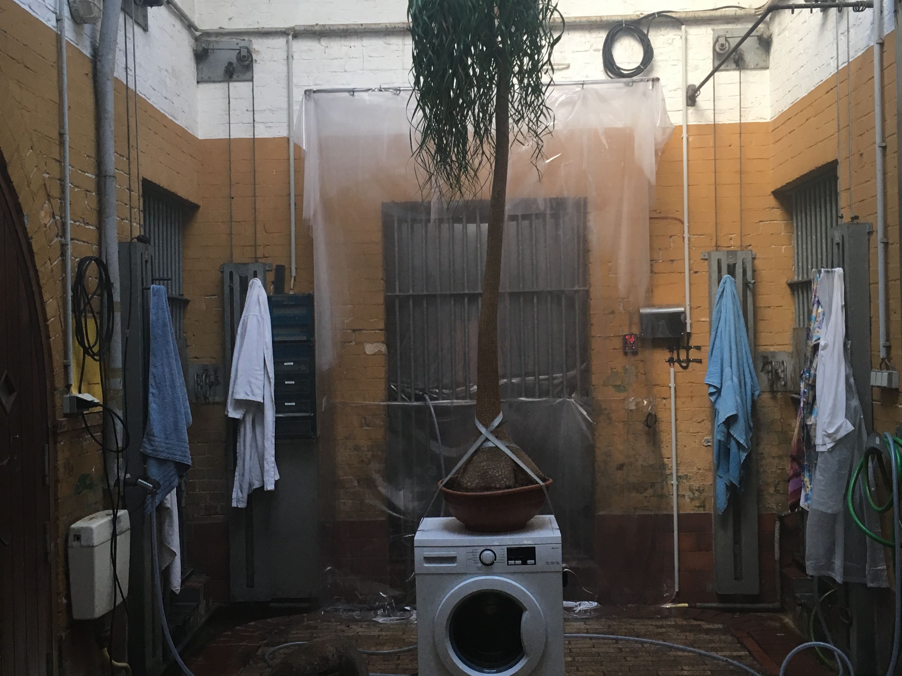 Installation view of central room of bear cage with herbal infusion washing machine and participant towels in PPKK 03.00 sauna by Sarah Ancelle Schoenfeld and Louis-Philippe Scoufaras at Baerenzwinger Berlin