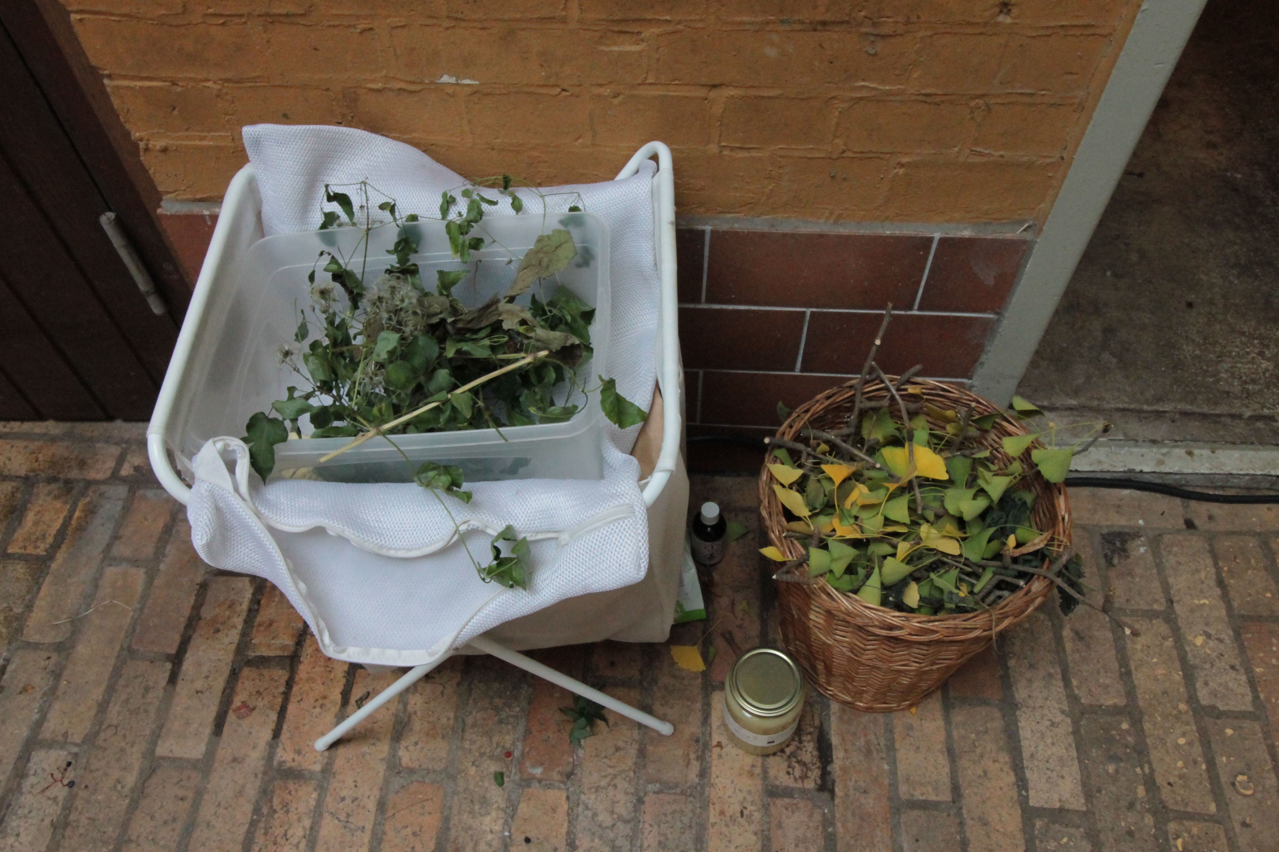 Detail view of infusion herbs for tea and sauna liquid for PPKK 03.00 by Sarah Ancelle Schoenfeld and Louis-Philippe Scoufaras at Baerenzwinger Berlin