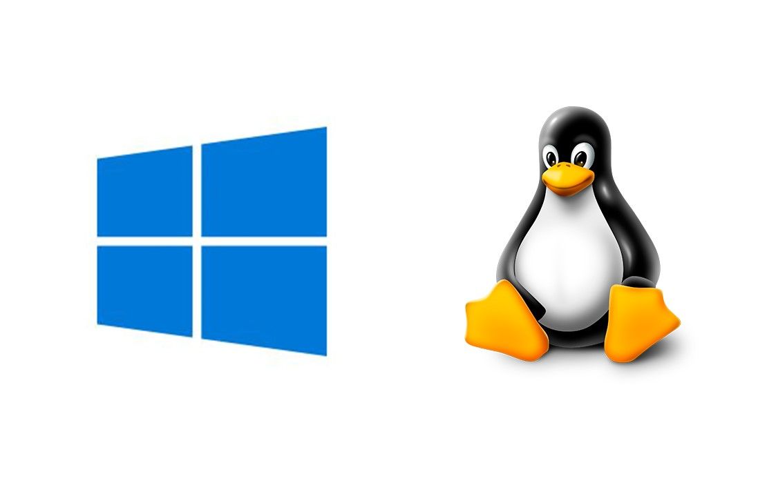 What is the difference between Linux Hosting and Windows Hosting?