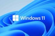 5 Must Software For Windows 11