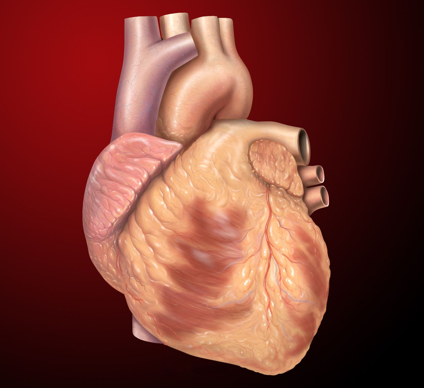 According to researchers, new technologies can be used to restore heart muscle