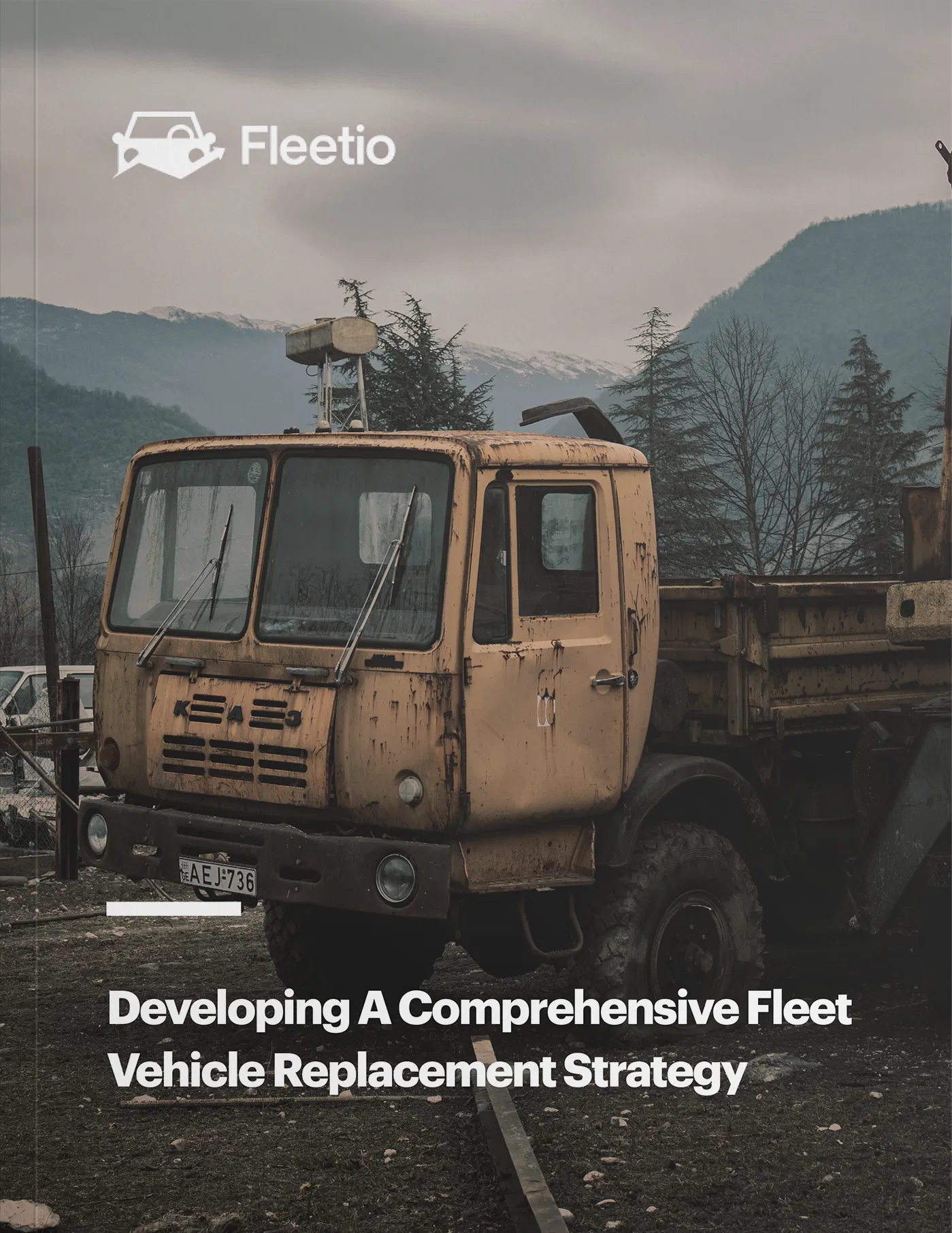 Developing a Comprehensive Fleet Vehicle Replacement Strategy White Paper