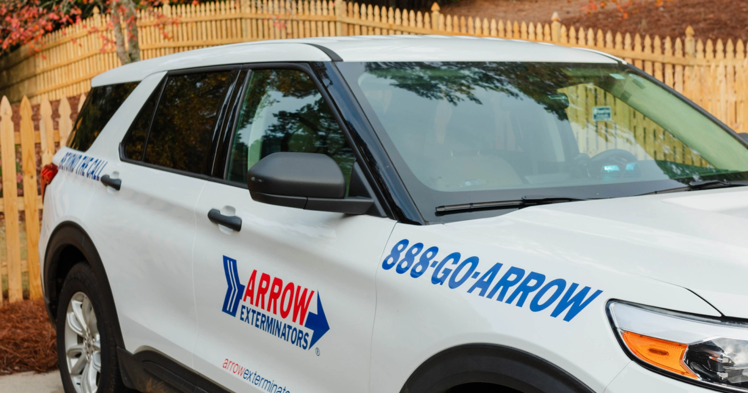 Arrow Exterminators