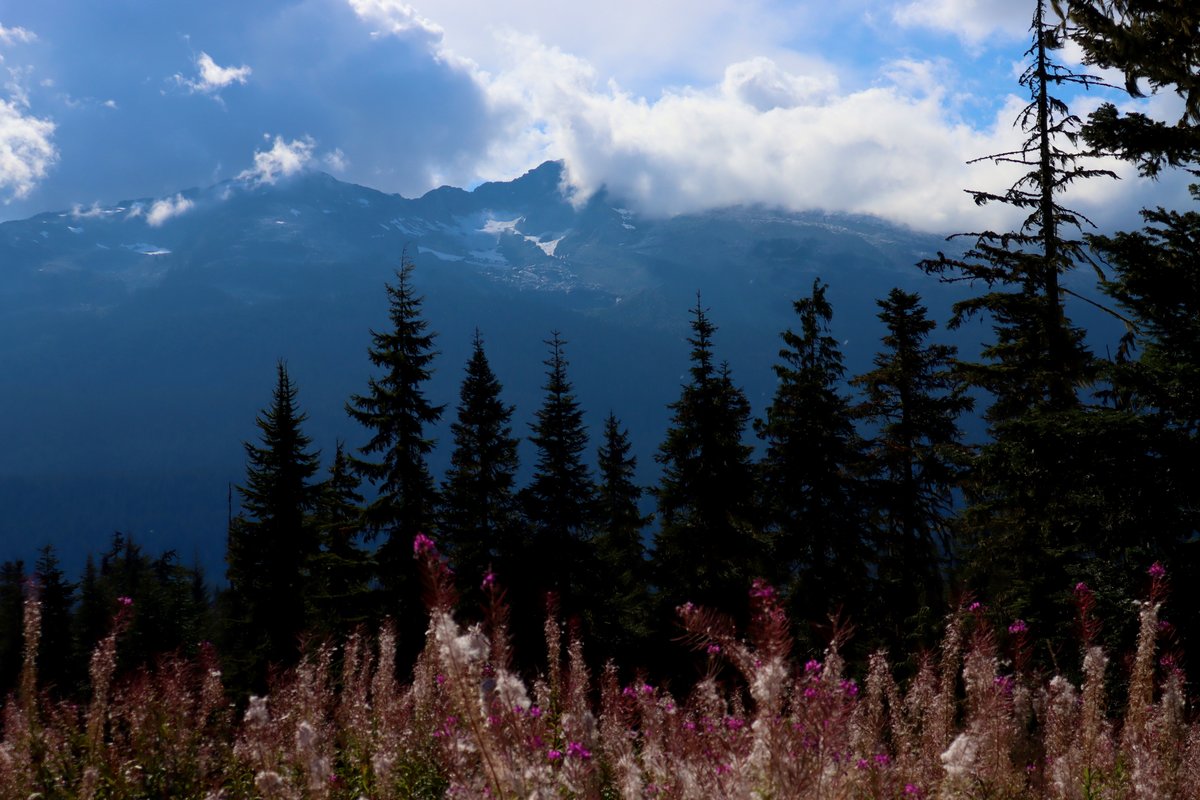 Whistler Olympic Park
