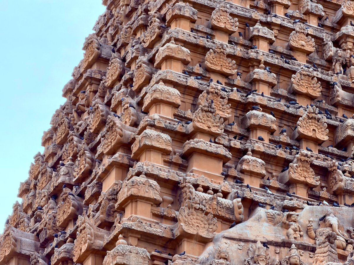 The upper tiers of the vimana, close up — each setback a world of its own, carvings at every level, and pigeons nesting in every crevice. Uninvited tenants of a thousand years.