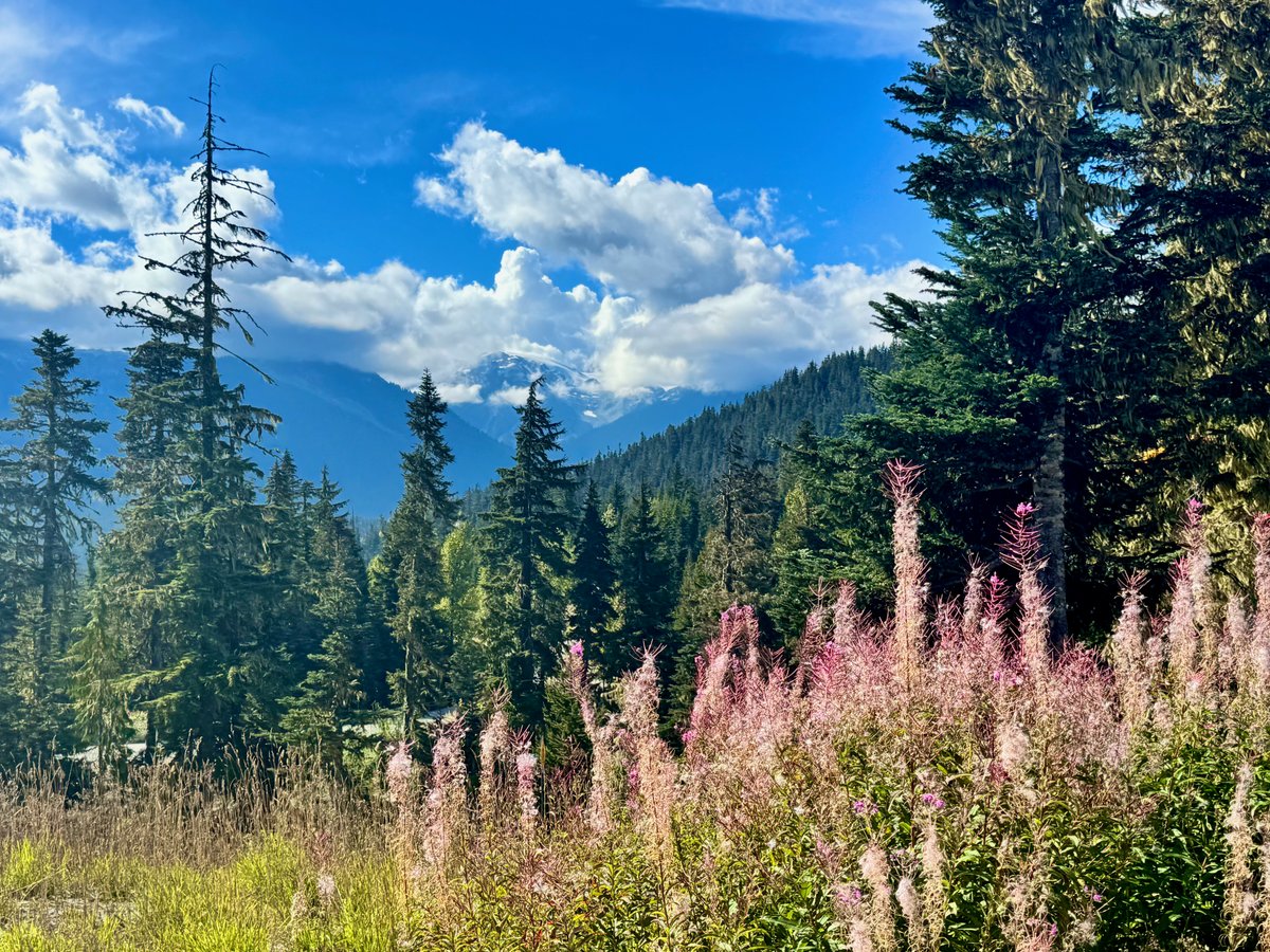 Whistler Olympic Park