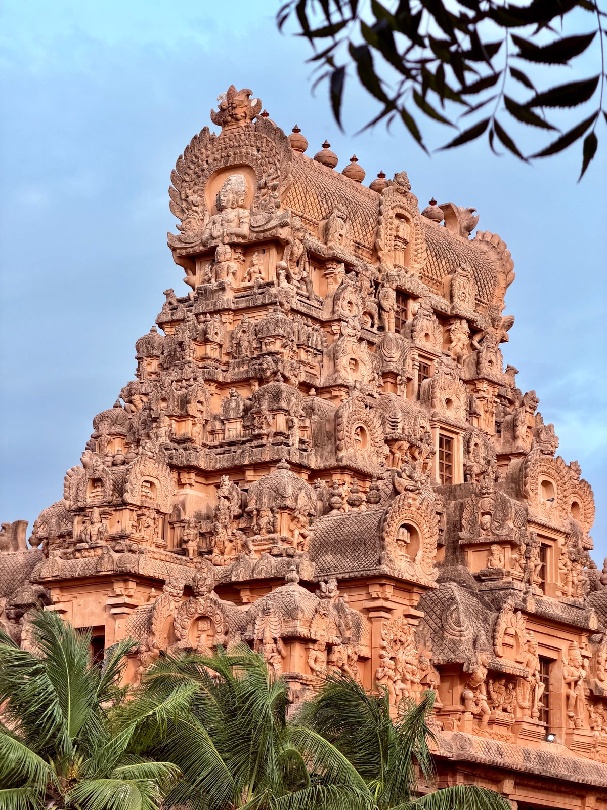 A gopuram through the palms — Tamil Nadu's golden hour turns everything ochre. The sandstone seems to glow from within at this light.