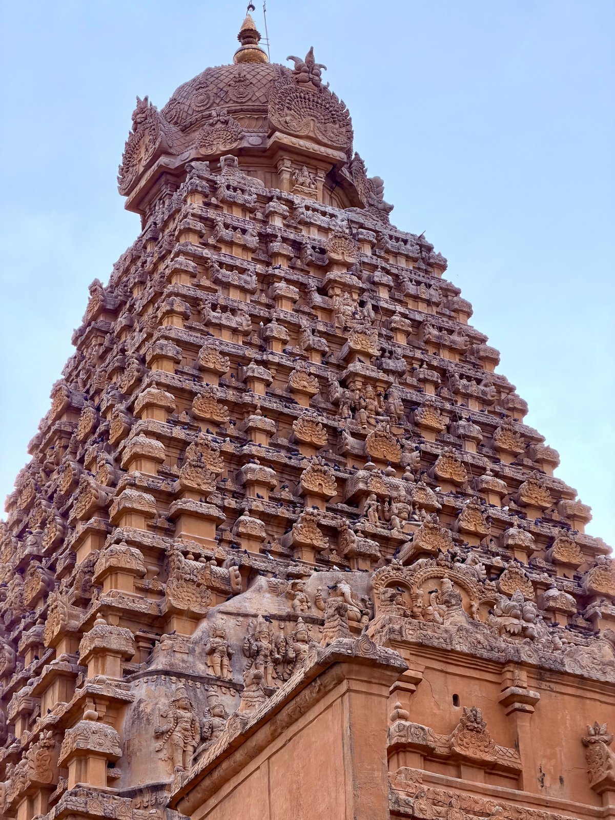 The vimana, full height, from directly below — 216 feet of granite, 13 tiers, no mortar. Commissioned by Raja Raja Chola I in 1010 CE. Still standing. Still humbling.