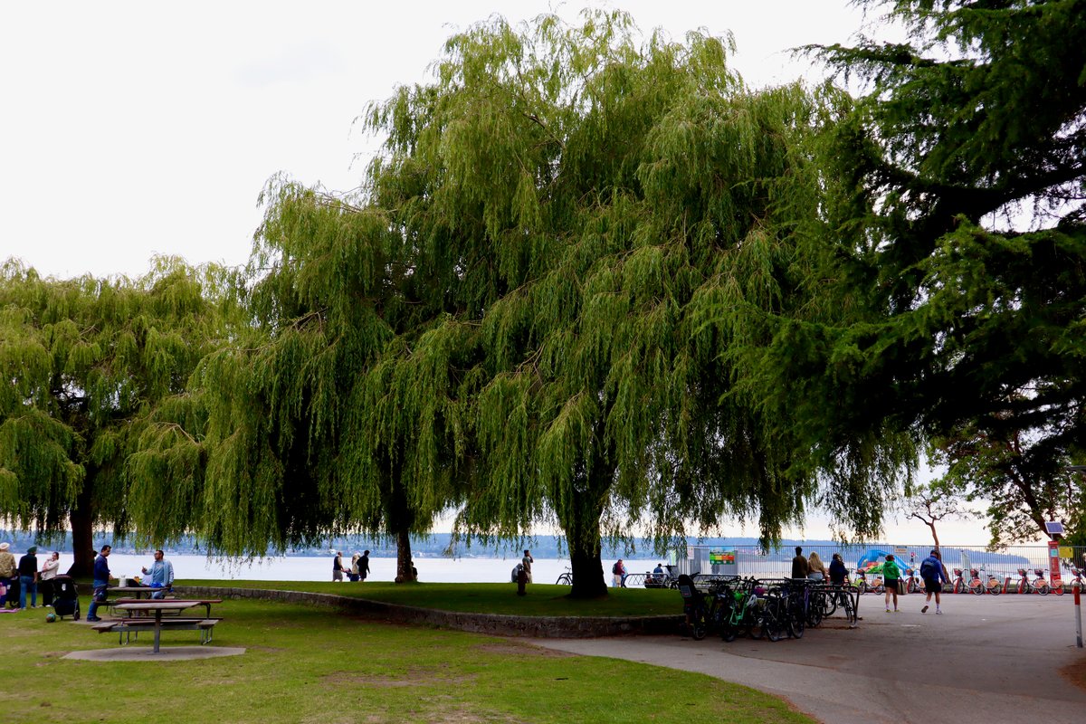 Second Beach, Stanley Park