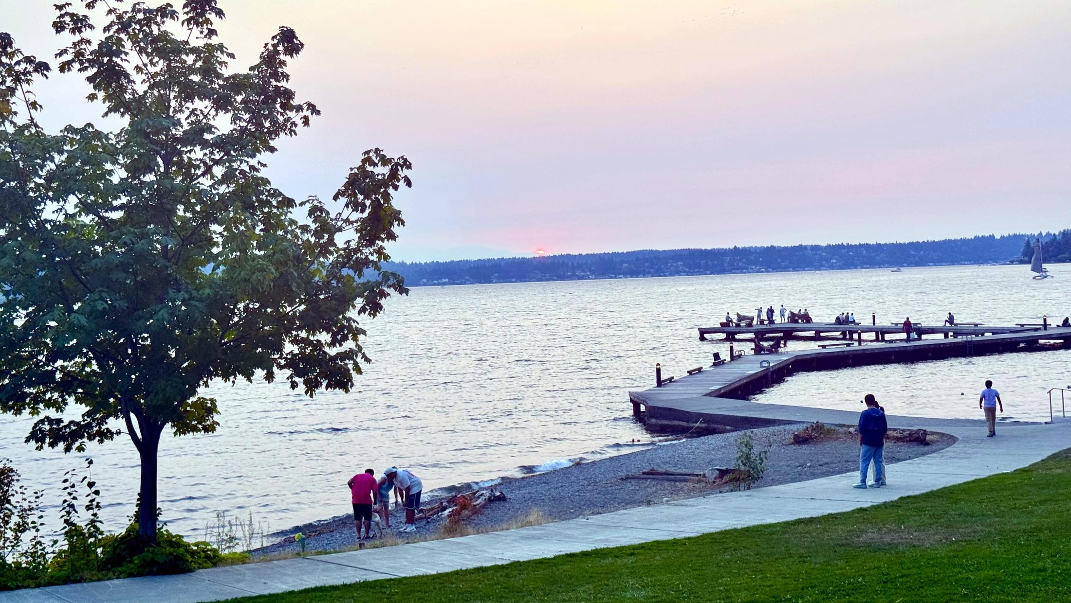 Waverly Beach Walk
