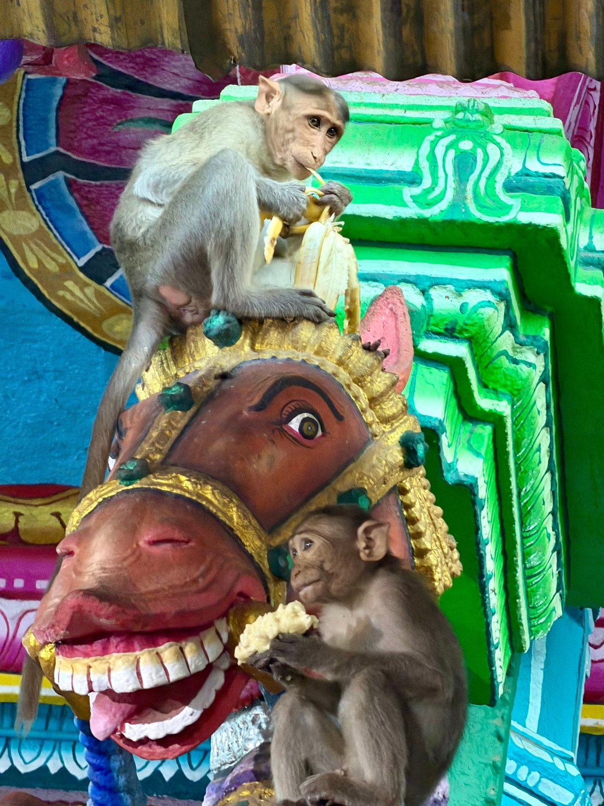 Two of them on the yali, one with a banana