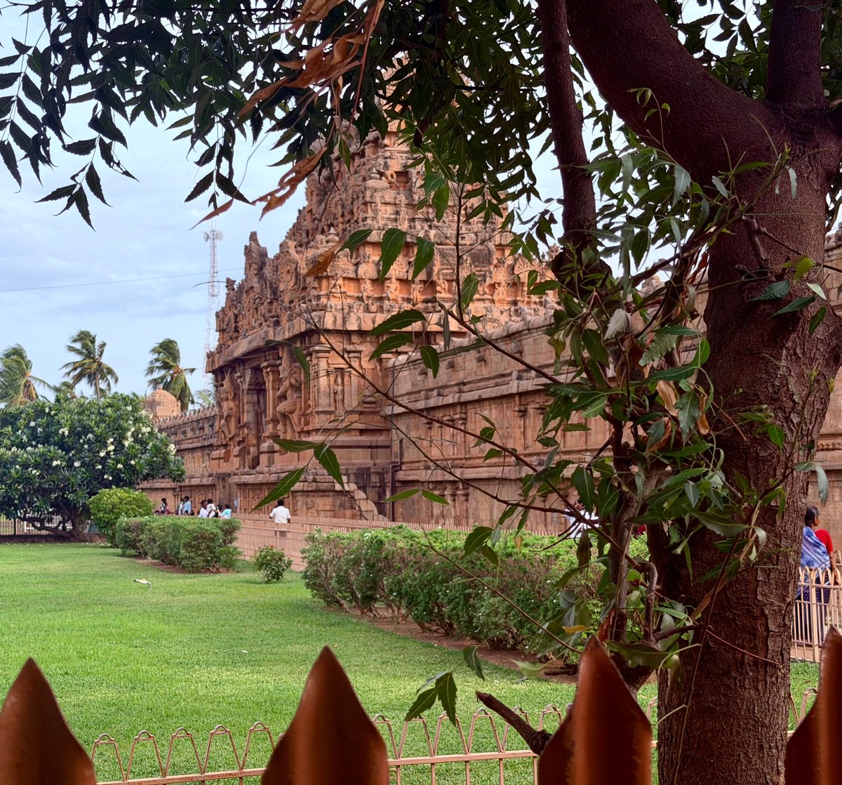 Brihadeeswarar through the trees — seen from outside the outer wall, through neem branches and the low fence. Sometimes a temple is most beautiful when you catch it off-guard, framed by something ordinary.