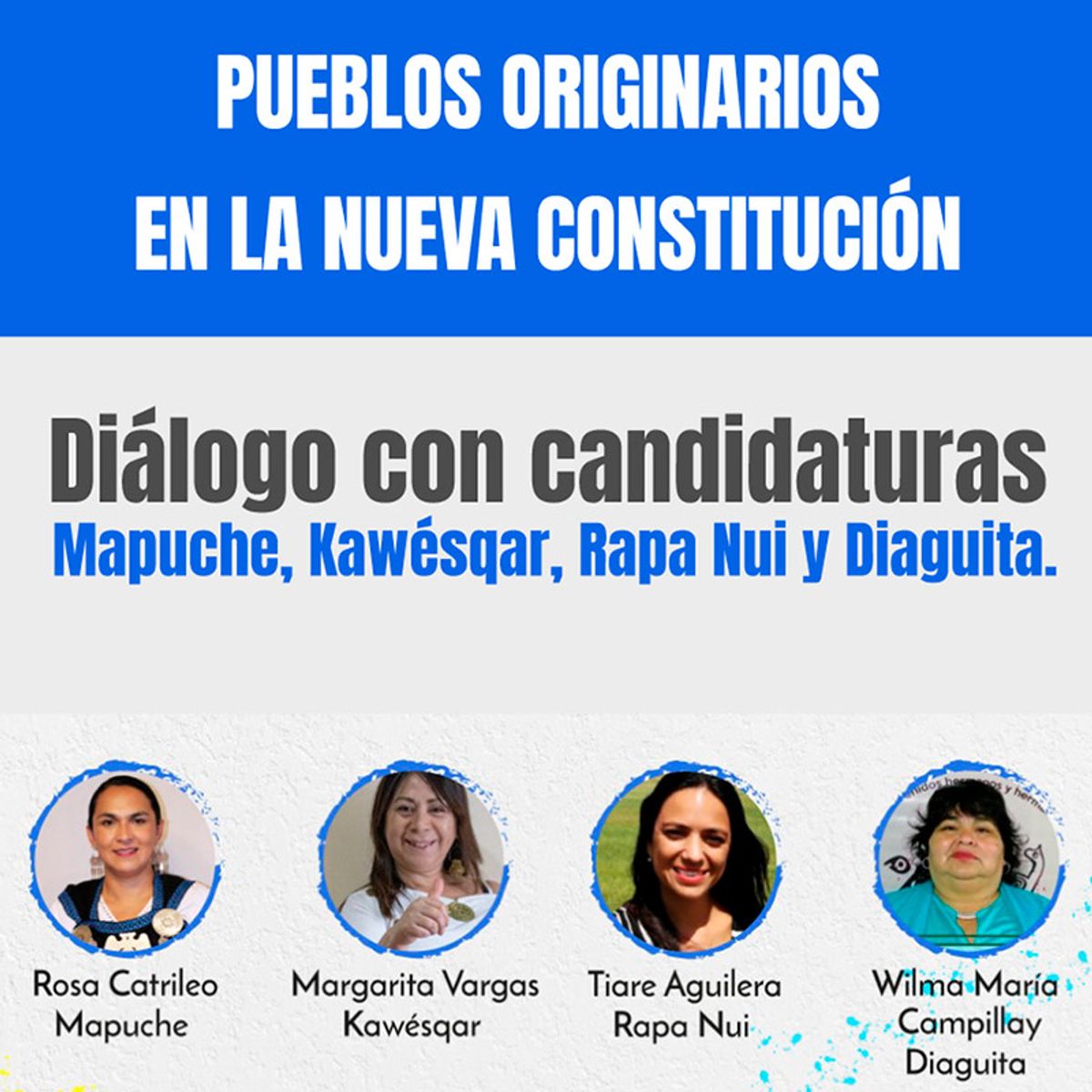 pueblos originarios escaños reservados constitucion