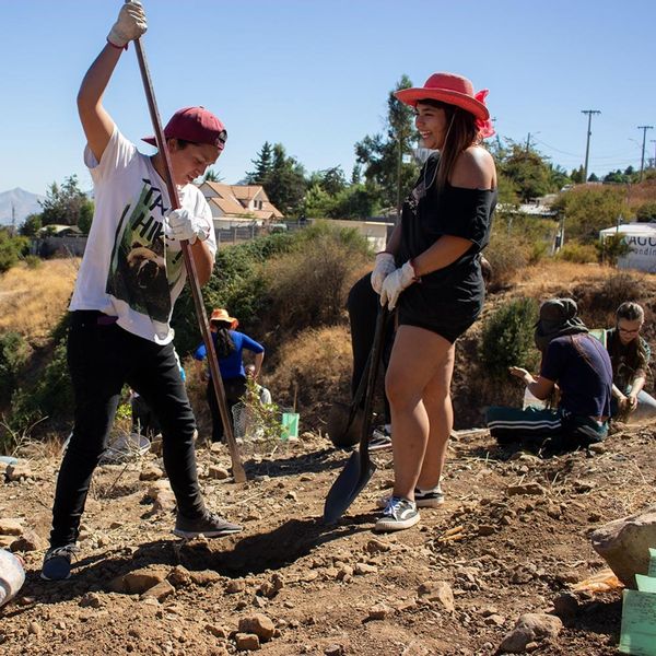 Jóvenes plantando árboles en una jornada de acción social