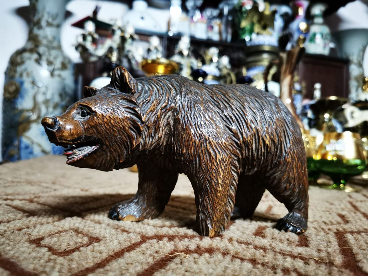 Chú gấu Nga – ảnh 1