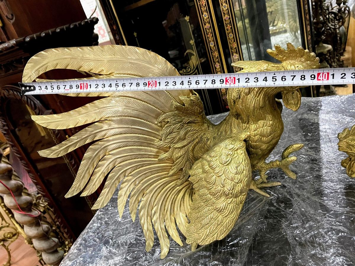 Đôi gà đồng – ảnh 6