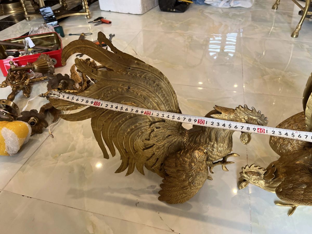 Cặp gà bằng đồng – ảnh 9