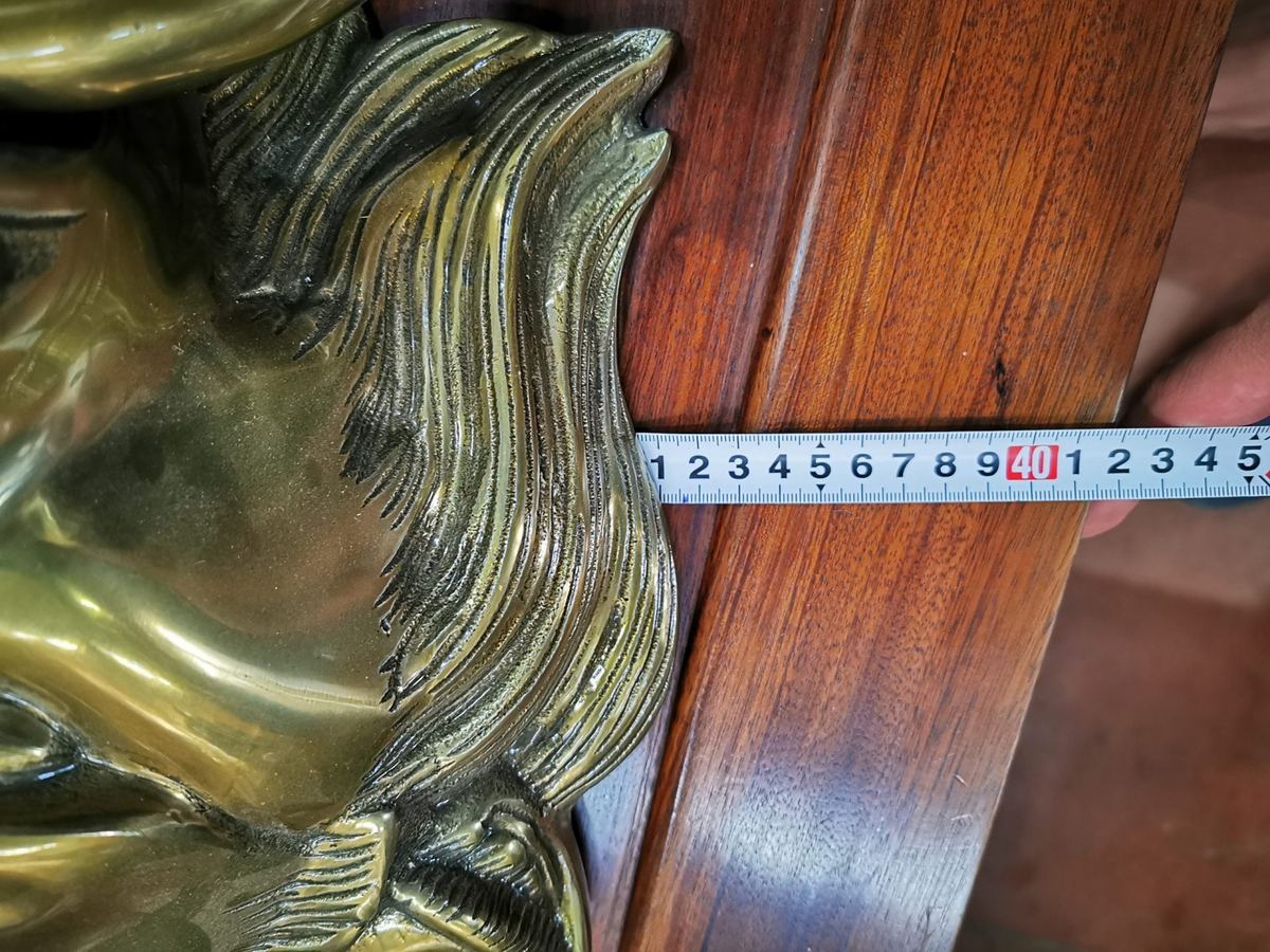 Đầu sư tử – ảnh 4