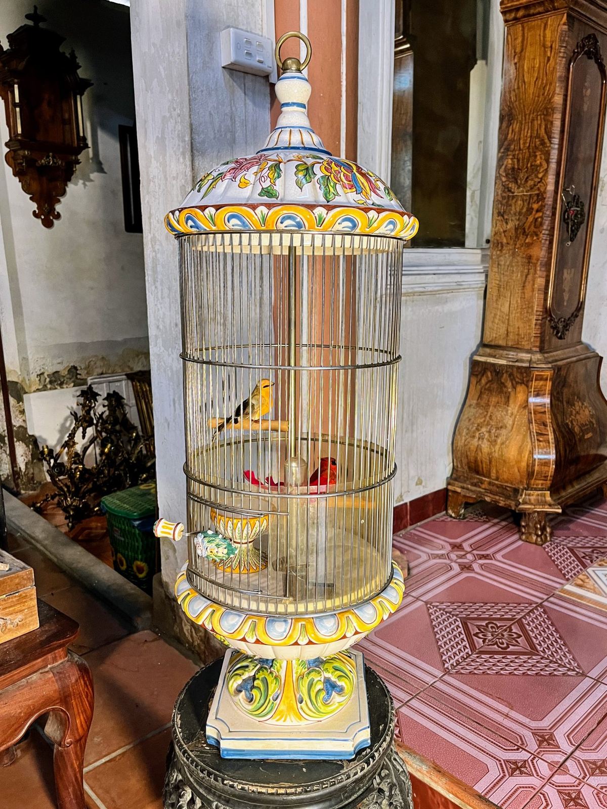 Lồng chim – ảnh 1