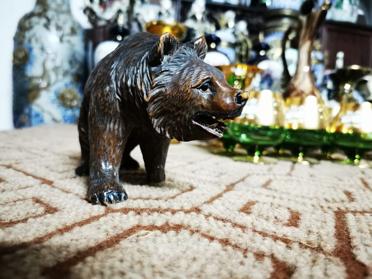 Chú gấu Nga – ảnh 2