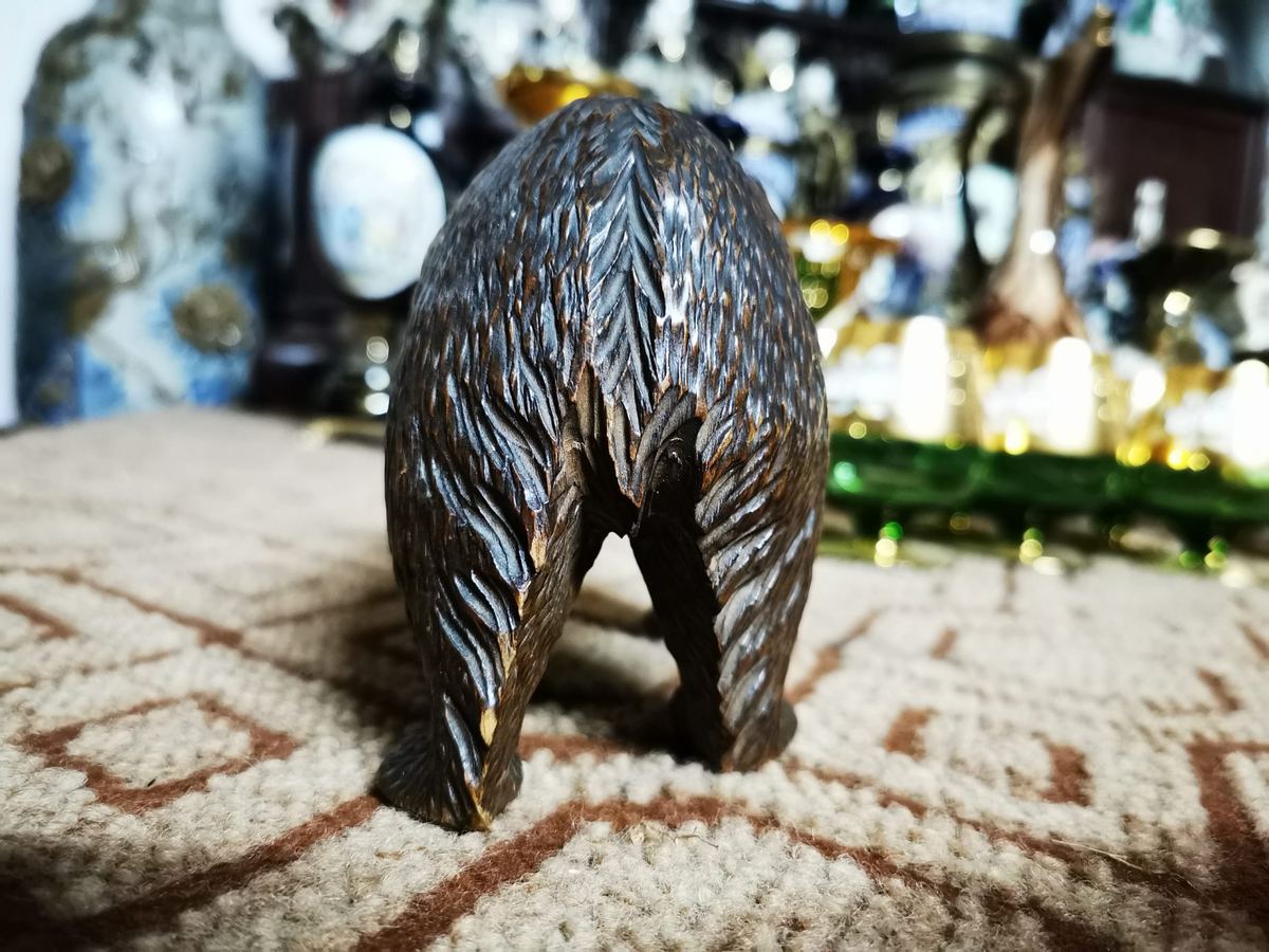 Chú gấu Nga – ảnh 5