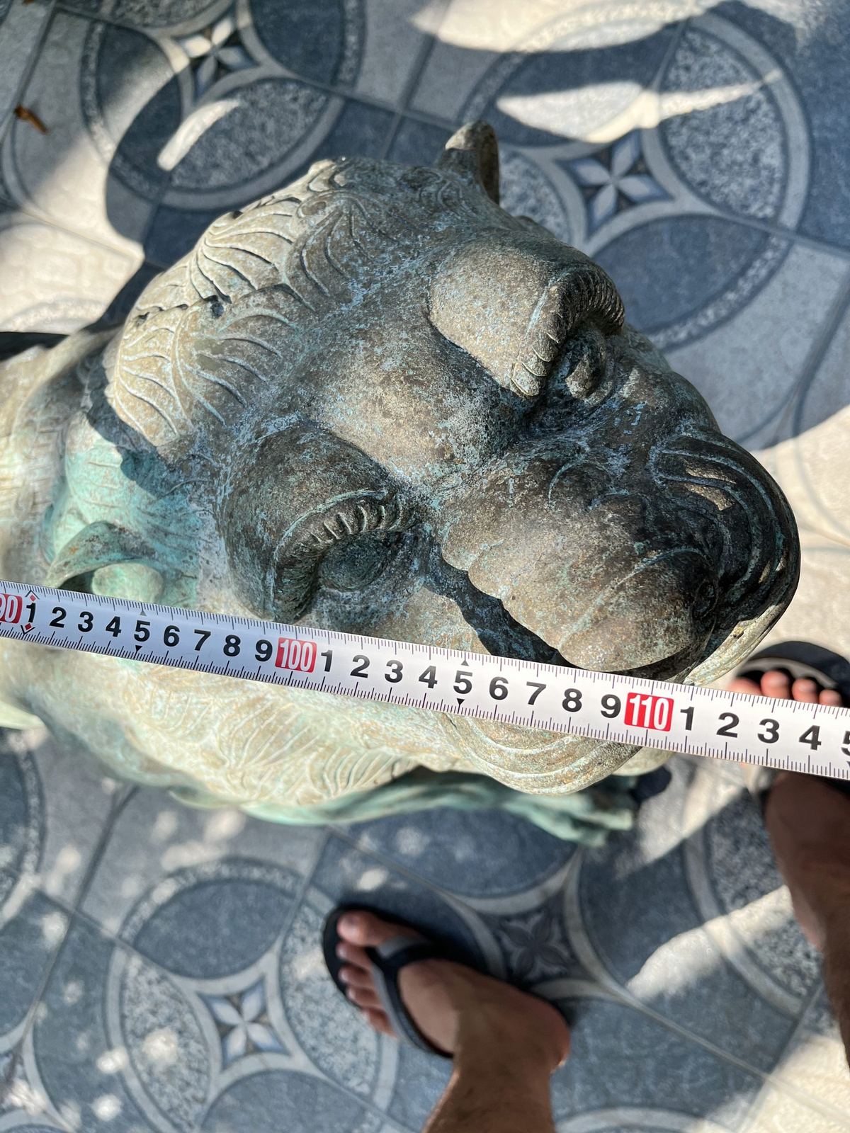 Tượng sư tử đồng – ảnh 7