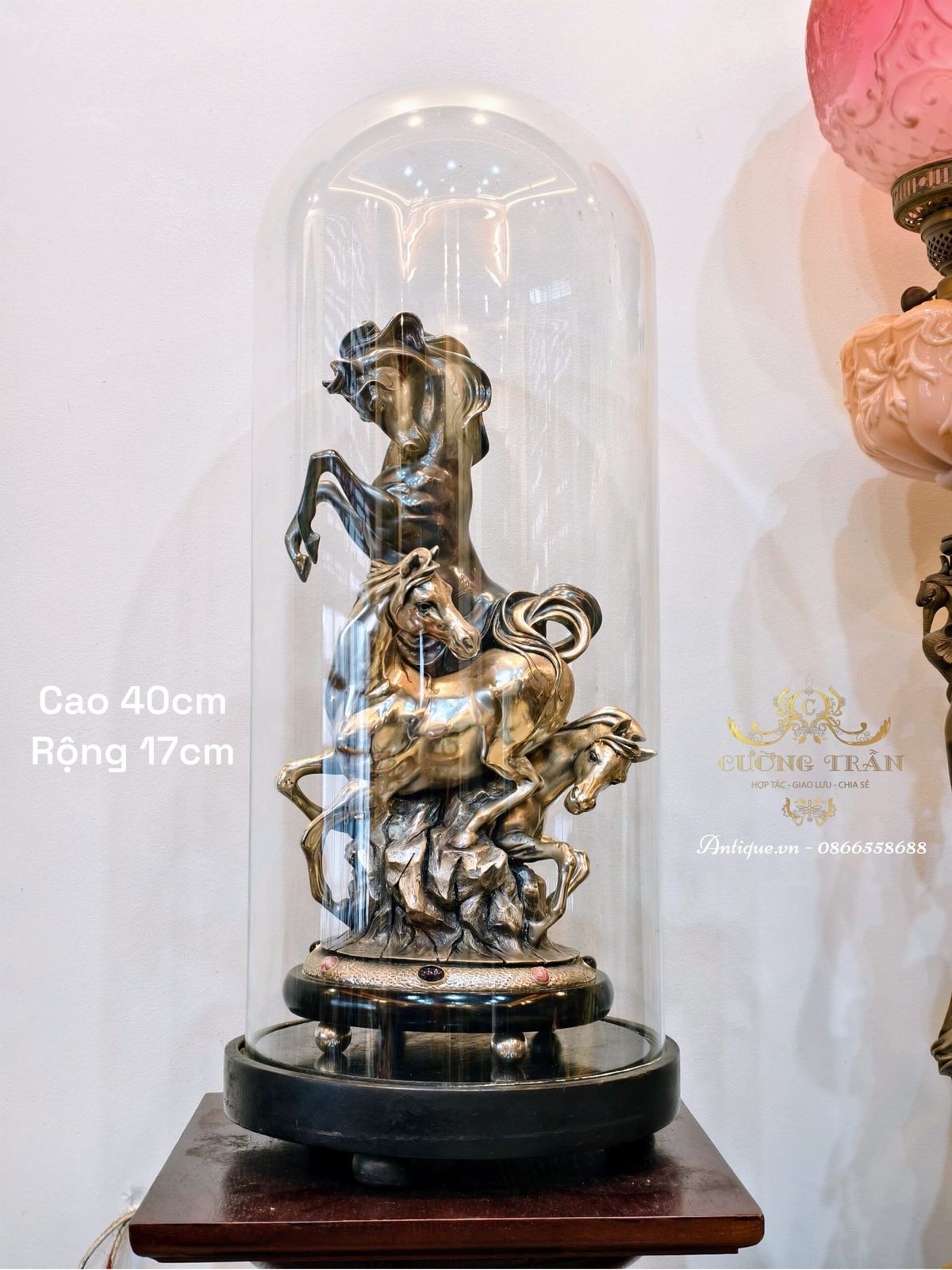 Tượng đồng ngựa – ảnh 2